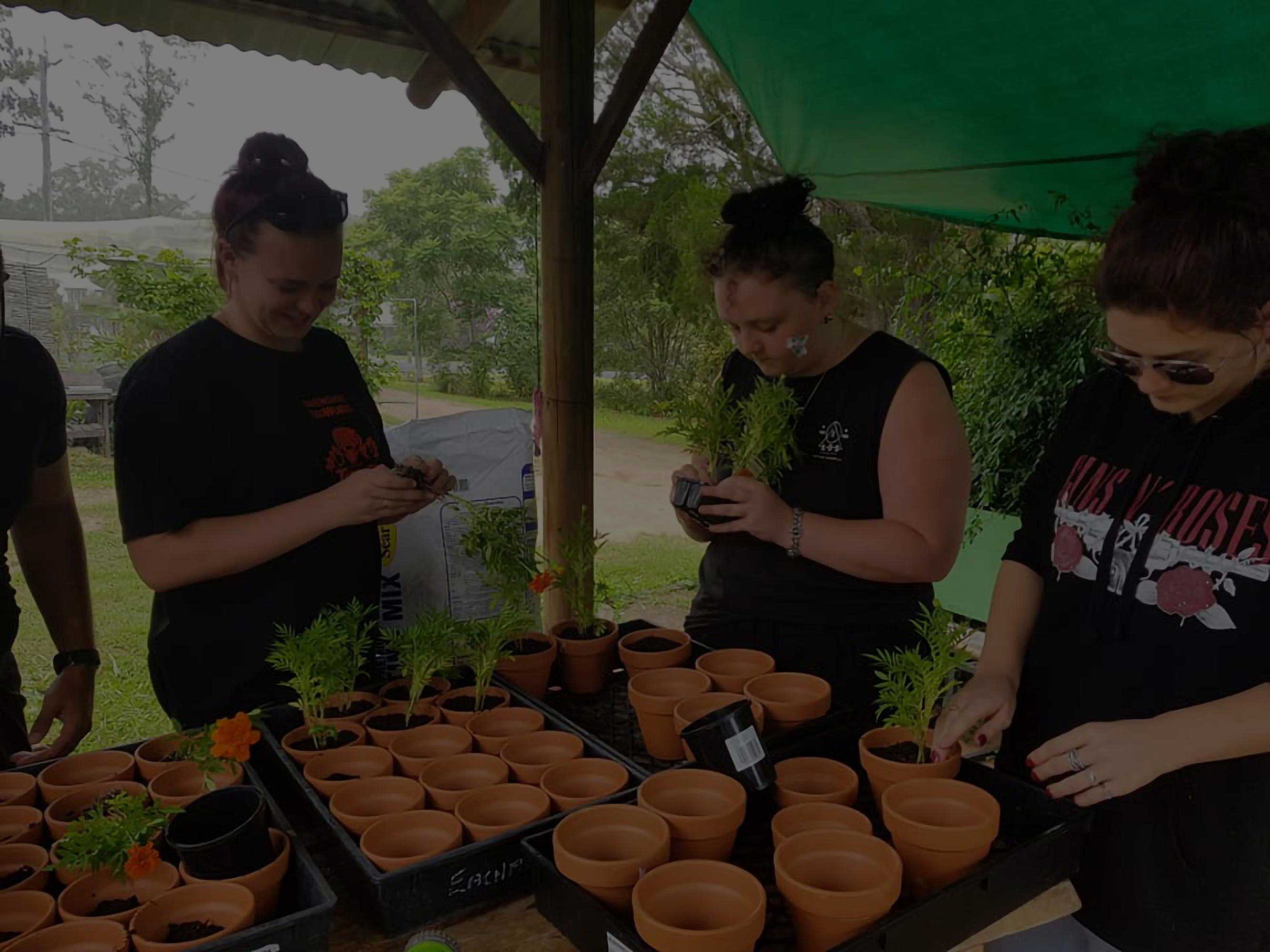 Ravenshoe Community Center - Family Support, Community support, Ravenshoe counselling program, childcare, domestic violence support, youth, youth counselling, No Interest Loan Scheme (NILS), community development, community gardens, aged and disability care.